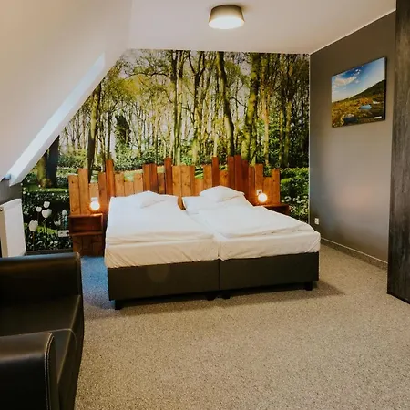 Hotel Wellness Liberecka Vysina 3*