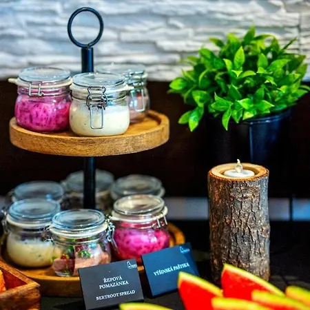 Ξενοδοχείο Wellness Liberecka Vysina