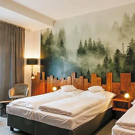 Wellness Liberecka Vysina 3*