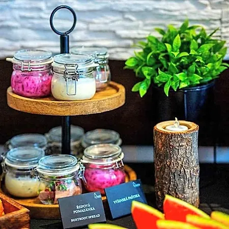 酒店 Wellness Liberecka Vysina